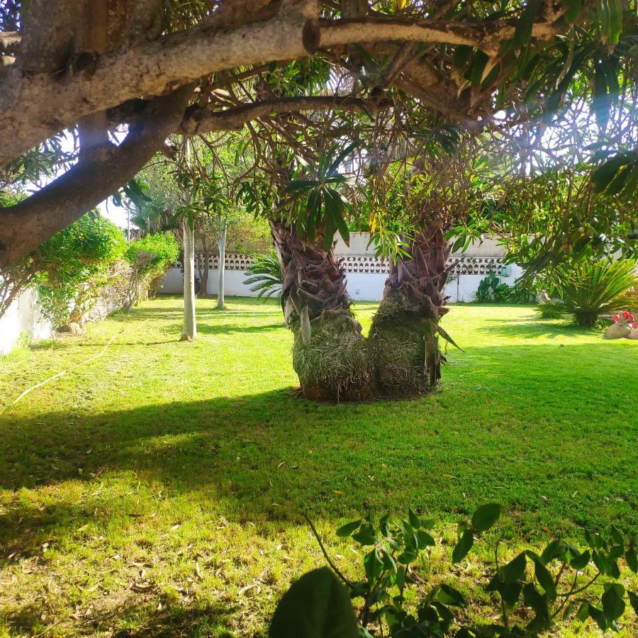 فيلا Cala Llanetes Vinarós المظهر الخارجي الصورة